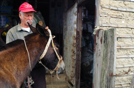 KÁVA DO KAPSY PO 1 KUSE