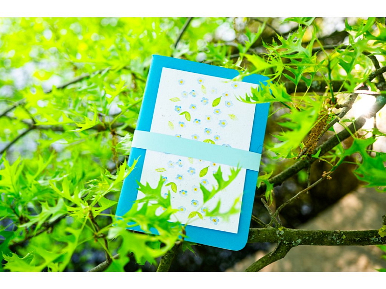 SEŠIT S ROSTOUCÍM VKLADEM