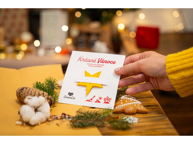 SEED HEARTS - Vánoční