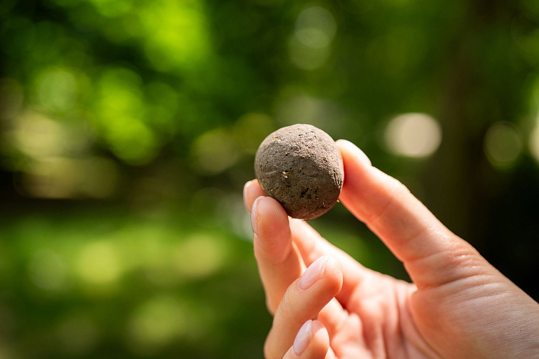 Uválejte seedbombs