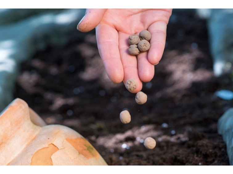 KULIČKY SE SEMÍNKY