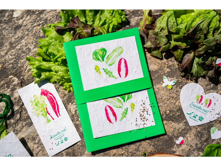 SEŠIT S ROSTOUCÍM VKLADEM