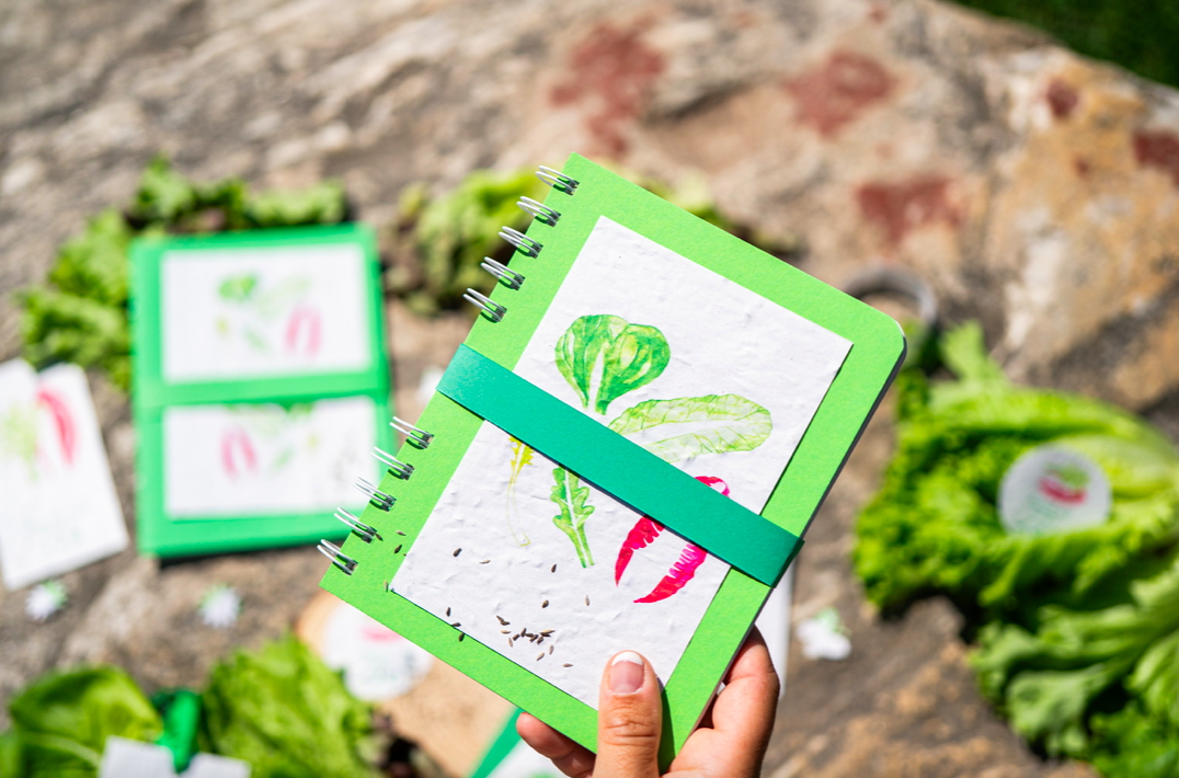 BLOK S VKLADEM Z ROSTOUCÍHO PAPÍRU