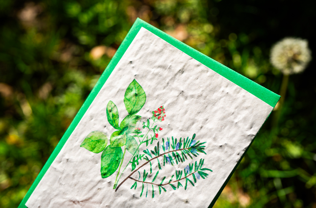 SEŠIT S ROSTOUCÍM VKLADEM