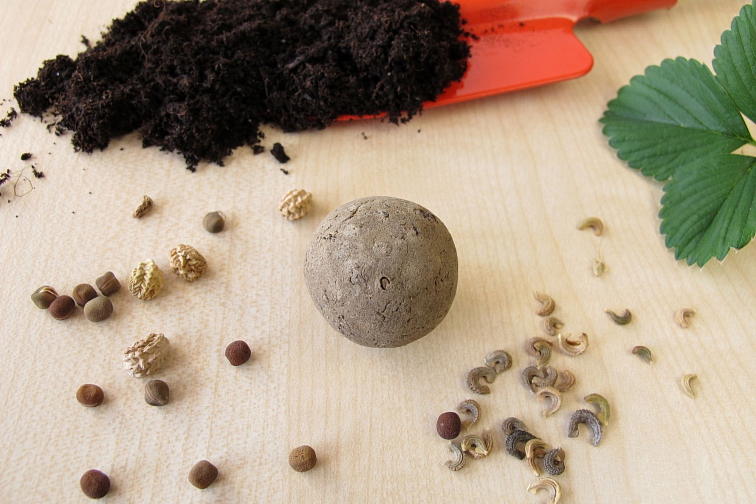 Uválejte seedbombs