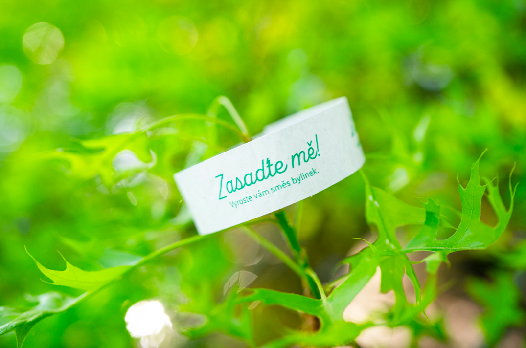 ROSTOUCÍ PAPÍR – Náramek