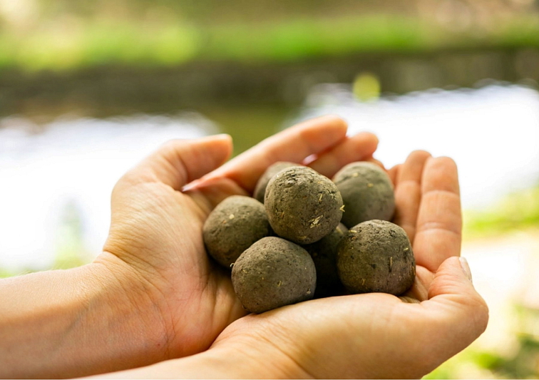Uválejte seedbombs