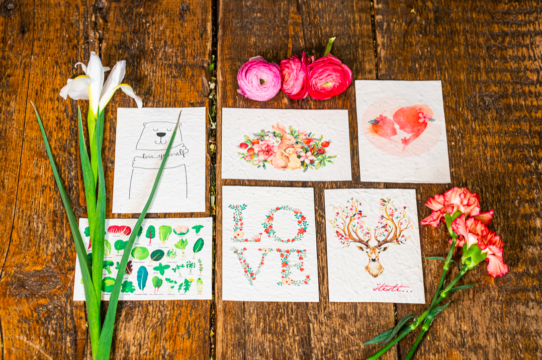 ROSTOUCÍ PAPÍR - Přání