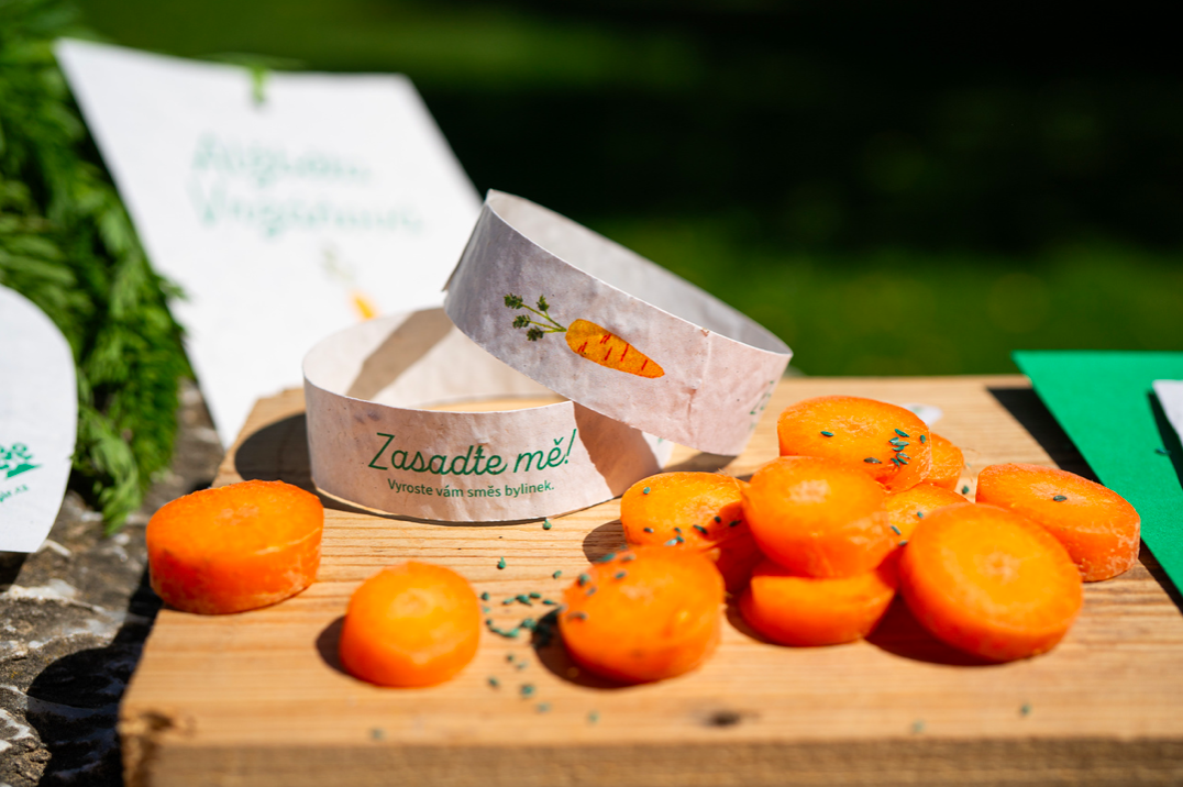 ROSTOUCÍ PAPÍR – Náramek