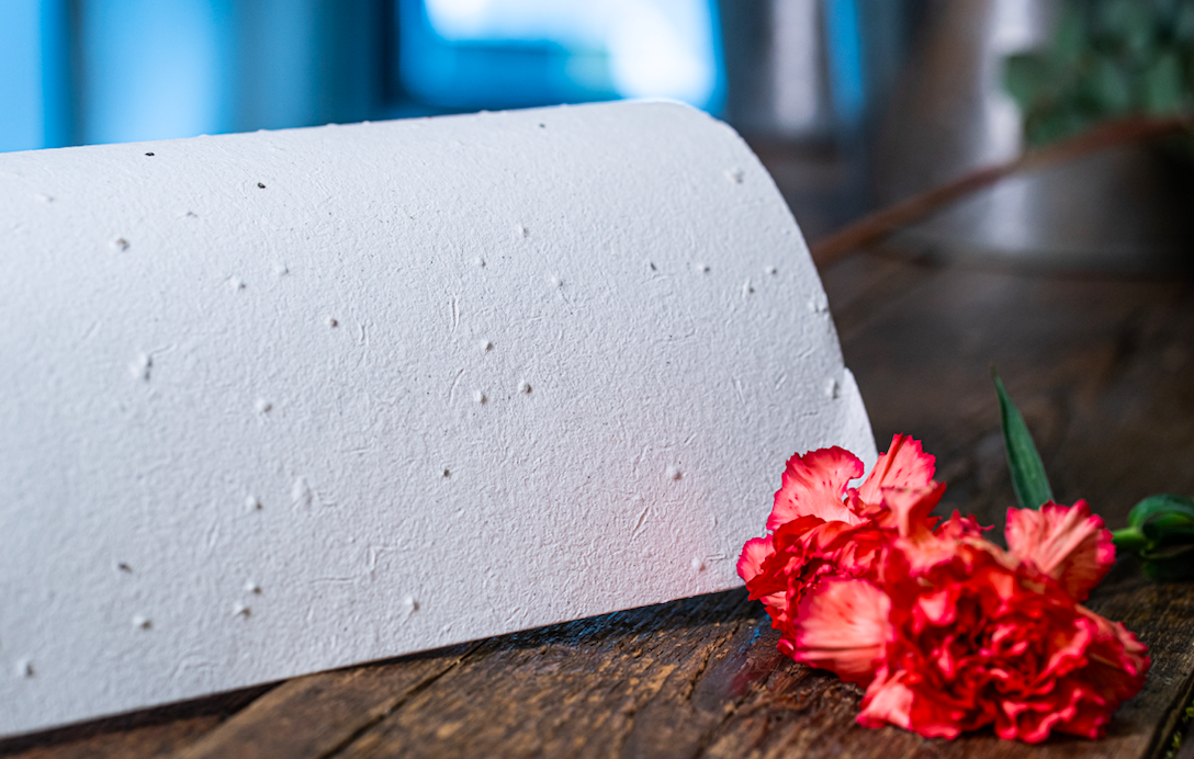 ROSTOUCÍ PAPÍR - Vizitky