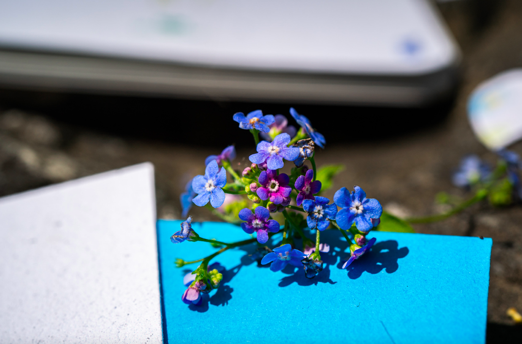 SEŠIT Z ROSTOUCÍHO PAPÍRU