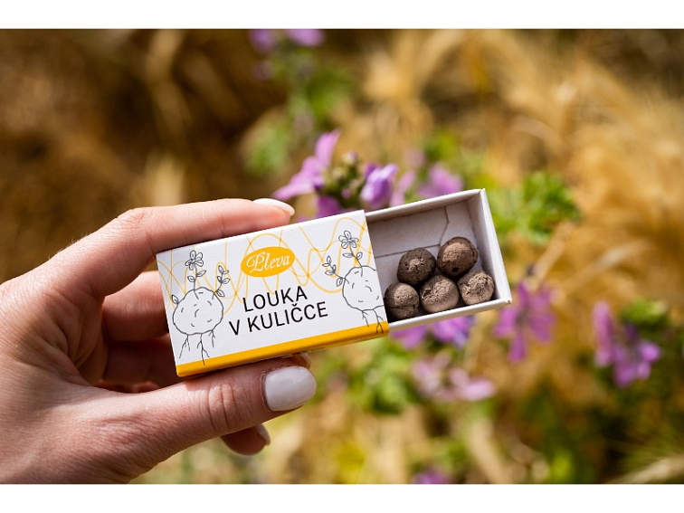 KULIČKY SE SEMÍNKY