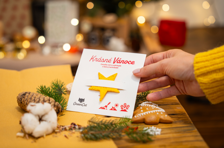 SEED HEARTS - Vánoční