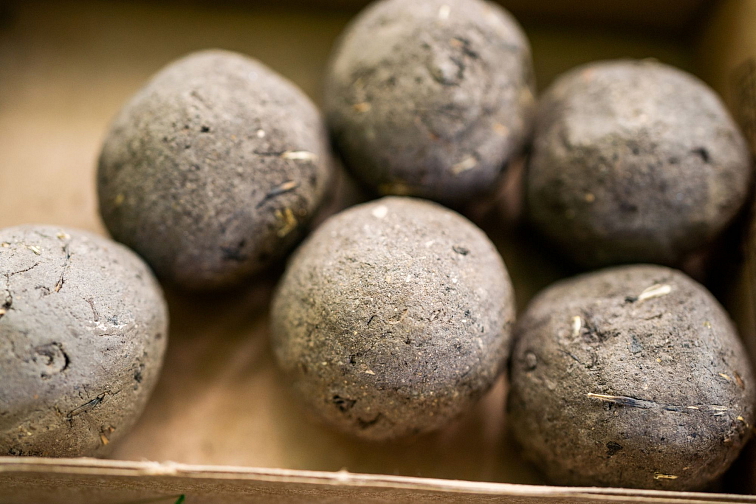Uválejte seedbombs