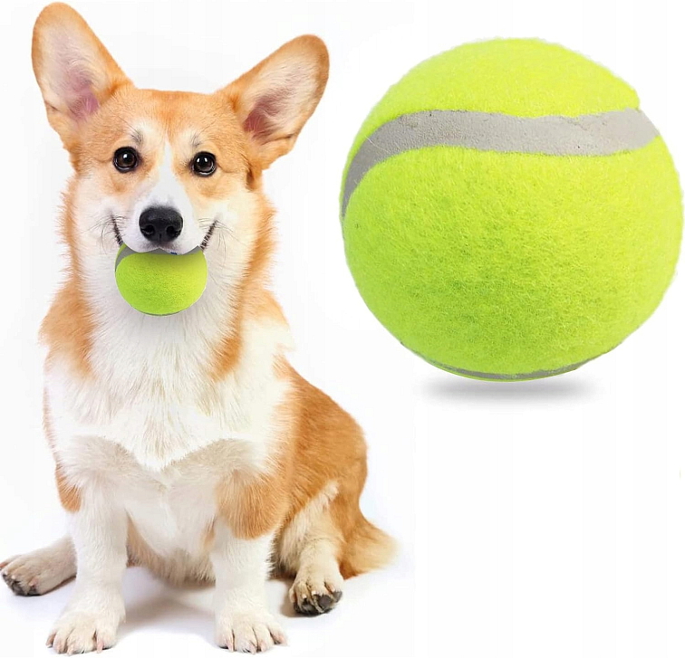 Tenisák Paw hračka pro psa 6.4cm/65g 1 ks