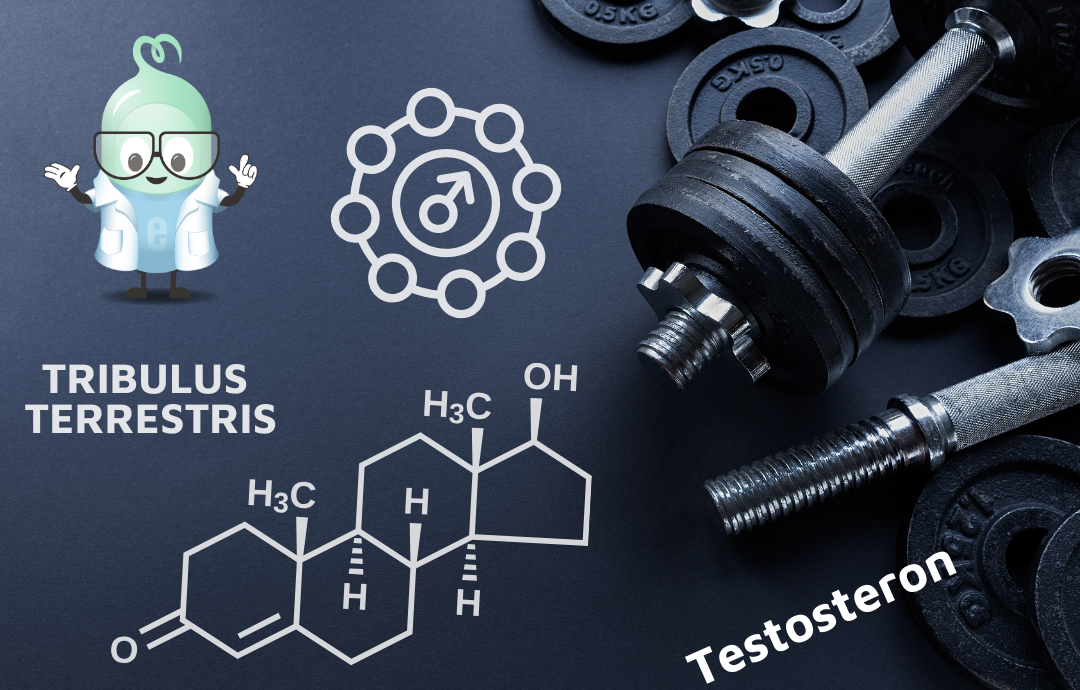 EDENPharma Bulharský Tribulus 90 cps