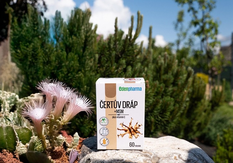 EDENPharma Čertov pazúr + MSM 60 cps