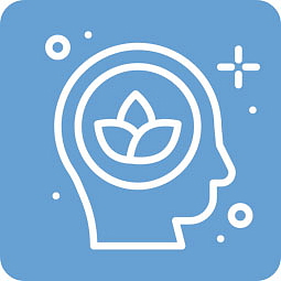 Olivový olej CBD 5% fullspectrum 10 ml