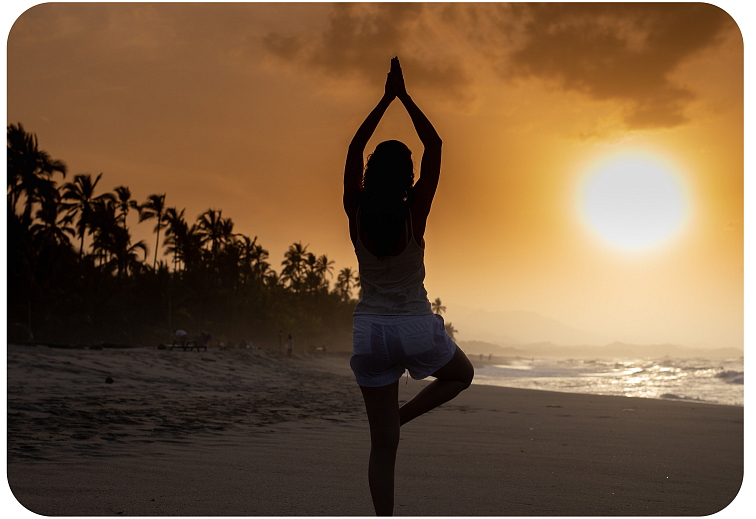 Vaporizer Gorilla Glue 94% HHC 1 ml