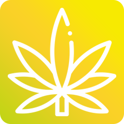 CBD Jelly 25mg - citron 8ks