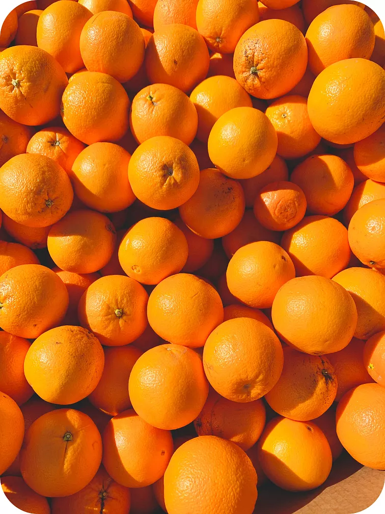 Cartridge HHC-P Amnesia Haze 1 ml