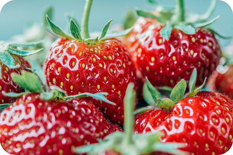 Strawberry 12% Iceline