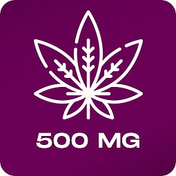 HHC Cookies s čoko kousky, 500 mg HHC
