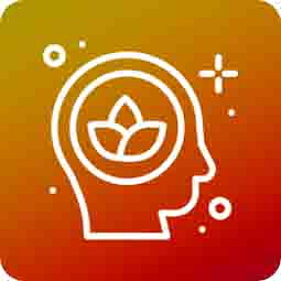 HHCPO vaporizer CATline Mocca Coffee 0,5 ml