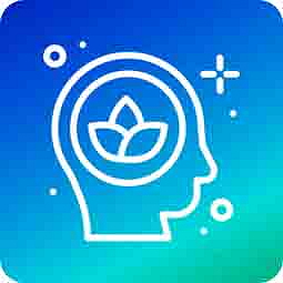 HHCPO CATline Frosty Mint vape set 0,5 ml