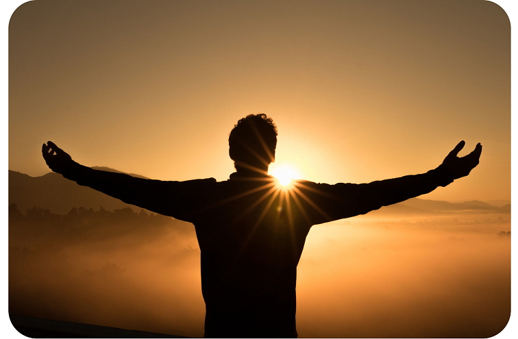 Cartridge Gorilla Glue 94% HHC 1 ml