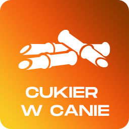 CBD Cookies 50mg - 2ks