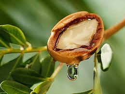 THCv arganový olej 50%, 10 ml