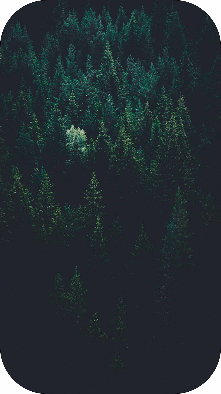 THCP disPOD Jack Herer 0,5ml