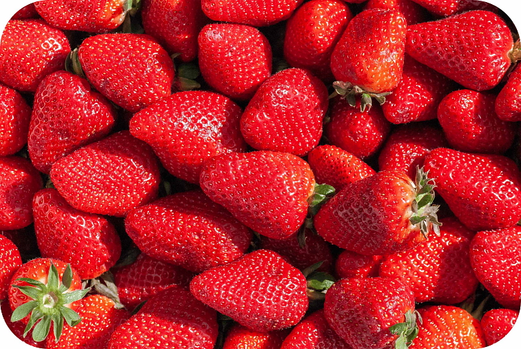 HHC-P Stronger Beast Strawberry 2ml