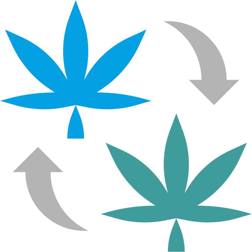 THC-D Wedding Cake květ konopí