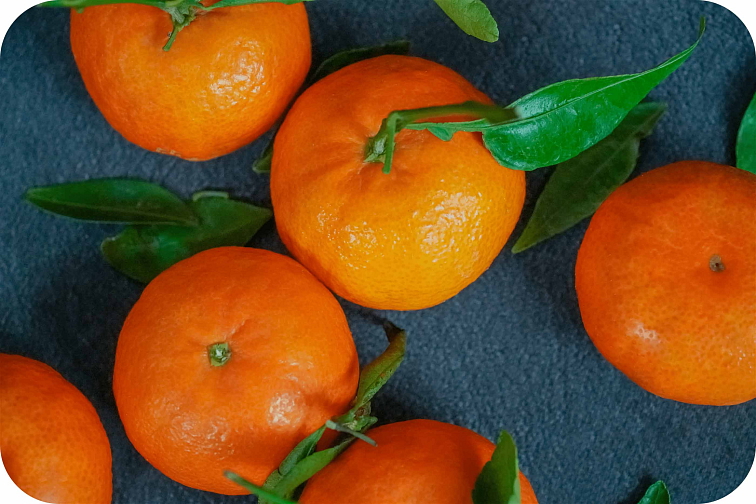 HHC-P Stronger Beast Clementine 2ml