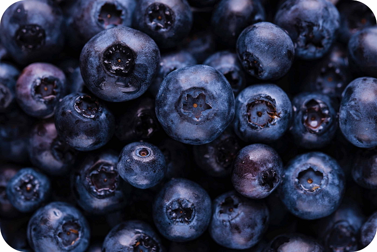 THCP disPOD Blueberry 1ml