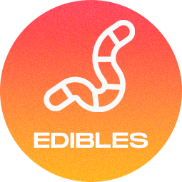 THCP jelly worms - Pomeranč 50mg, 10ks