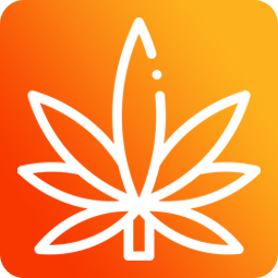 CBD Jelly 25mg - pomeranč 8ks