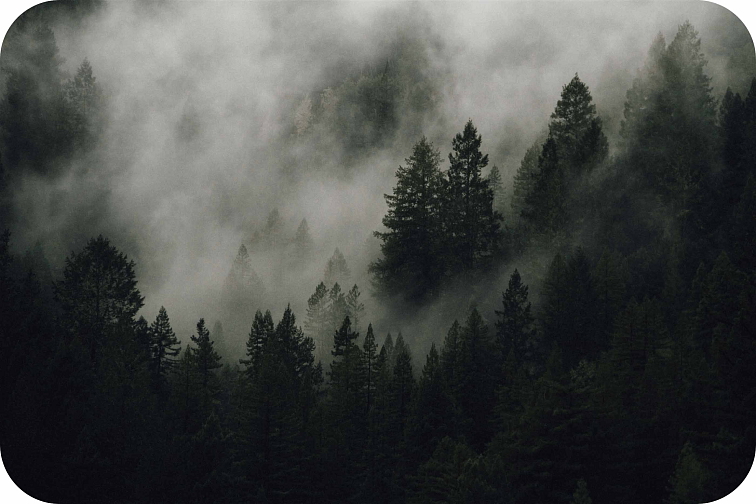 THCP disPOD Jack Herer 0,5ml