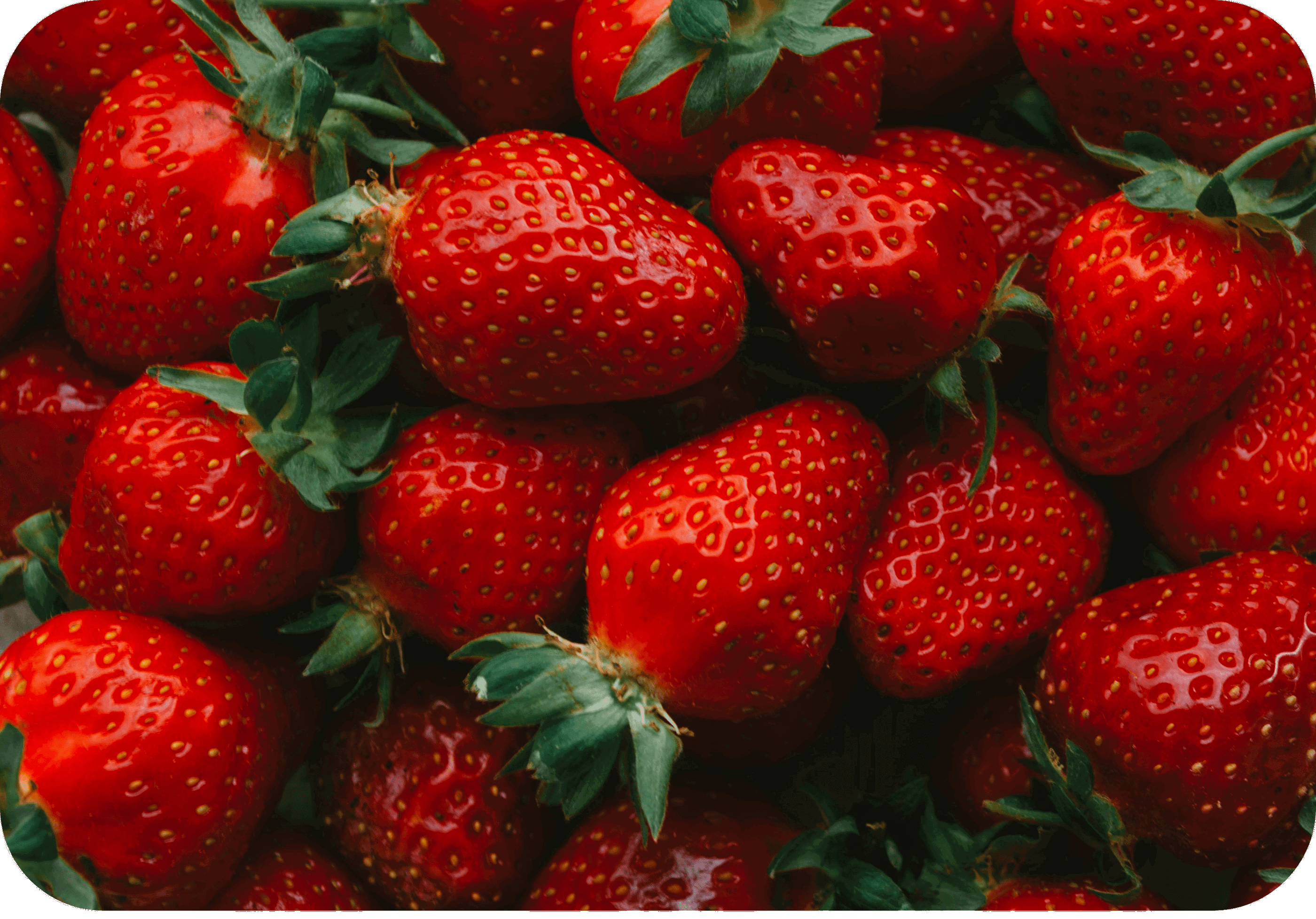 HHC + HHC-P Strawberry Haze