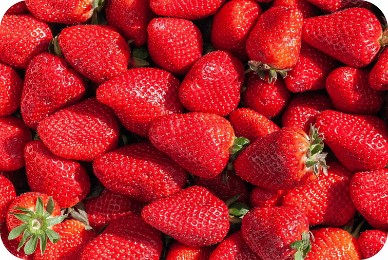 HHC disPOD Strawberry 1ml