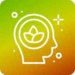 HHCP-O CATline disPOD Banana 1ml