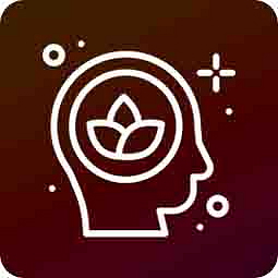 HHCPO cartridge CATline Cola 1ml