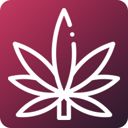 CBD Jelly 25mg - malina 8ks