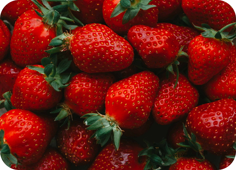 HHC + HHC-P Strawberry Haze