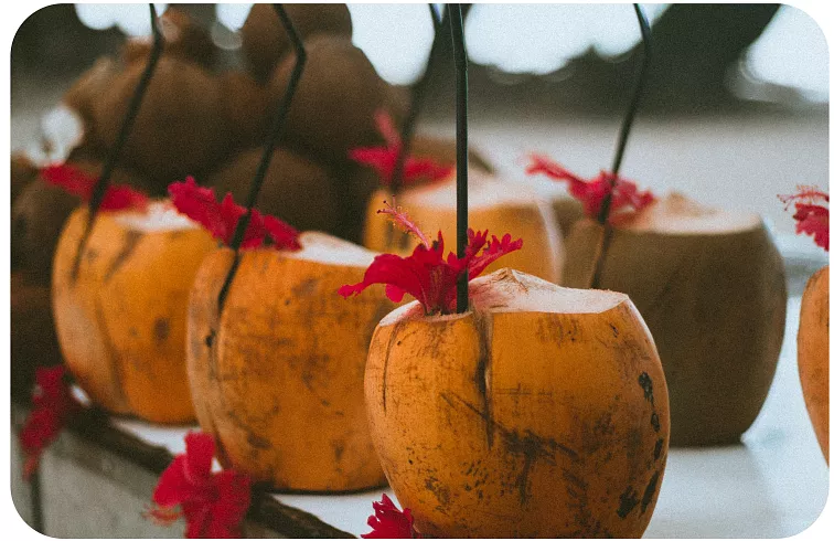 HHC-P Beast Pina Colada 1 ml