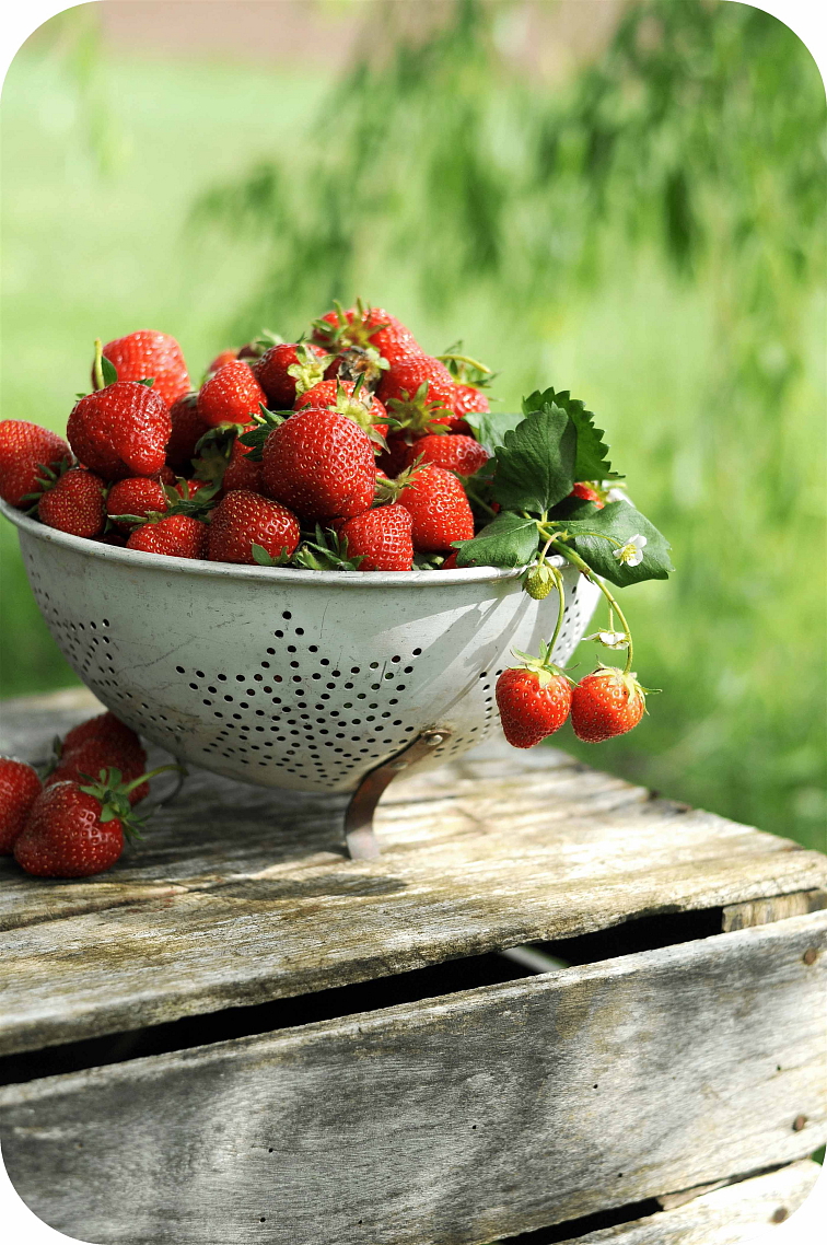 THCP disPOD Strawberry 0,5ml