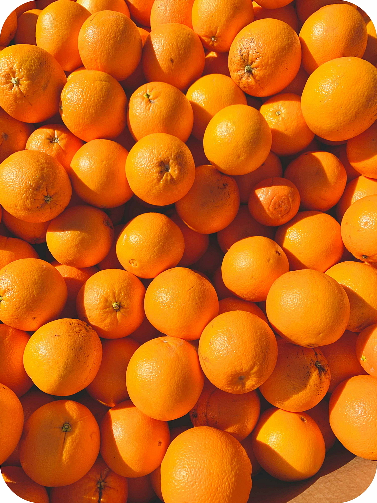 MouthFresh - Orange