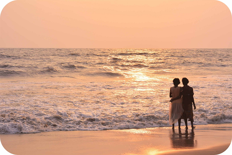 THCP disPOD Amnesia 0,5ml